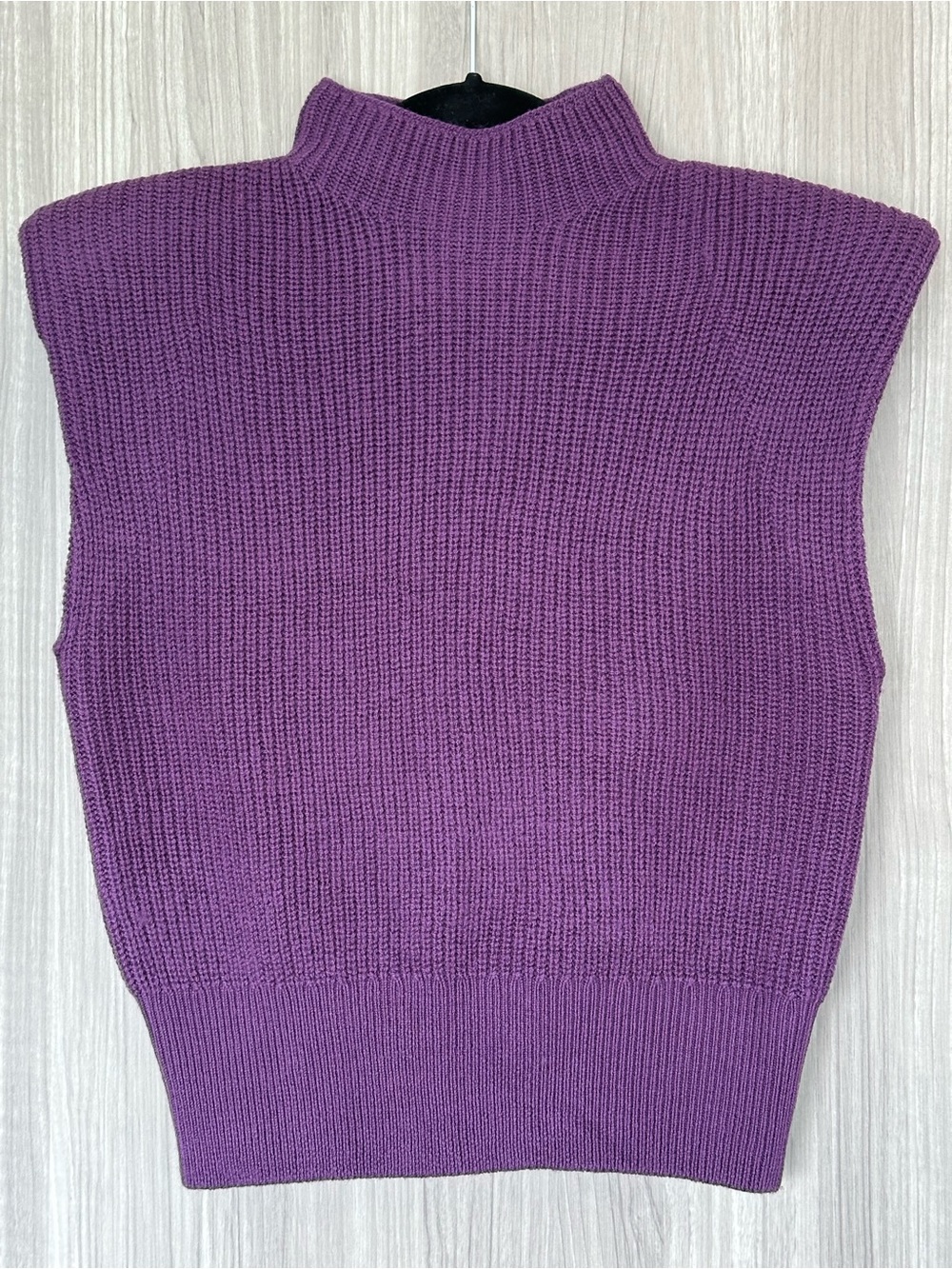 Aritzia Sleeveless Knit Mock Turtleneck in Purple